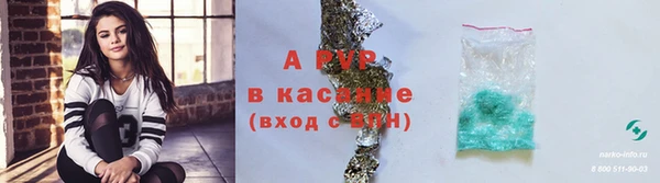 индика Абинск